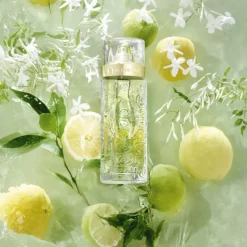 Femme Lancôme Eau De Toilette^Ô de