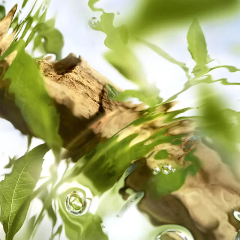 Femme Lancôme Eau De Toilette^Ô de Ôff Now