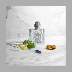 Homme Cerruti 1881 Eau De Toilette^1881 Silver