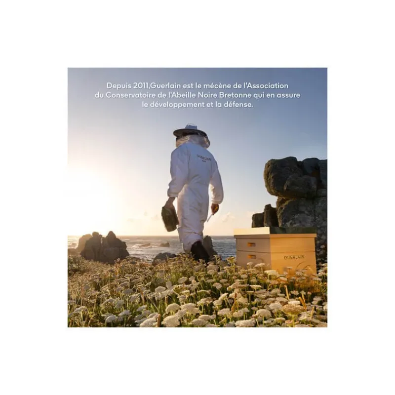 Guerlain Visage^Abeille Royale Crème Clarify & Repair