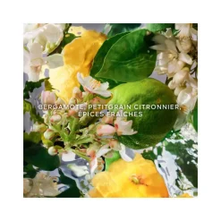 Femme Guerlain Eau De Parfum^Aqua Allegoria Bergamote Calabria