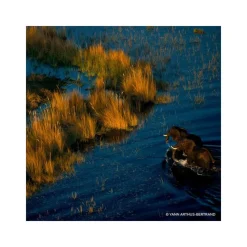 Femme Guerlain Eau De Parfum^Aqua Allegoria Forte Rosa Rossa