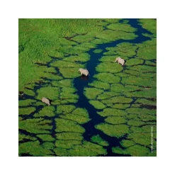 Femme Guerlain Eau De Parfum^Aqua Allegoria Granada Salvia