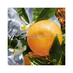 Femme Guerlain Eau De Parfum^Aqua Allegoria Pamplelune