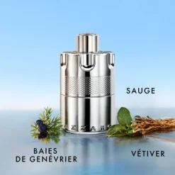 Homme Azzaro Eau De Parfum^Wanted