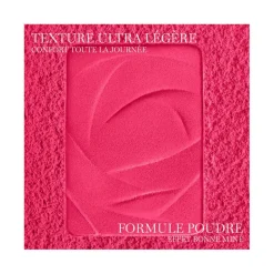 Lancôme Teint^Blush Subtil