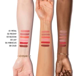 Dior Teint^Forever Blush Soft Filter