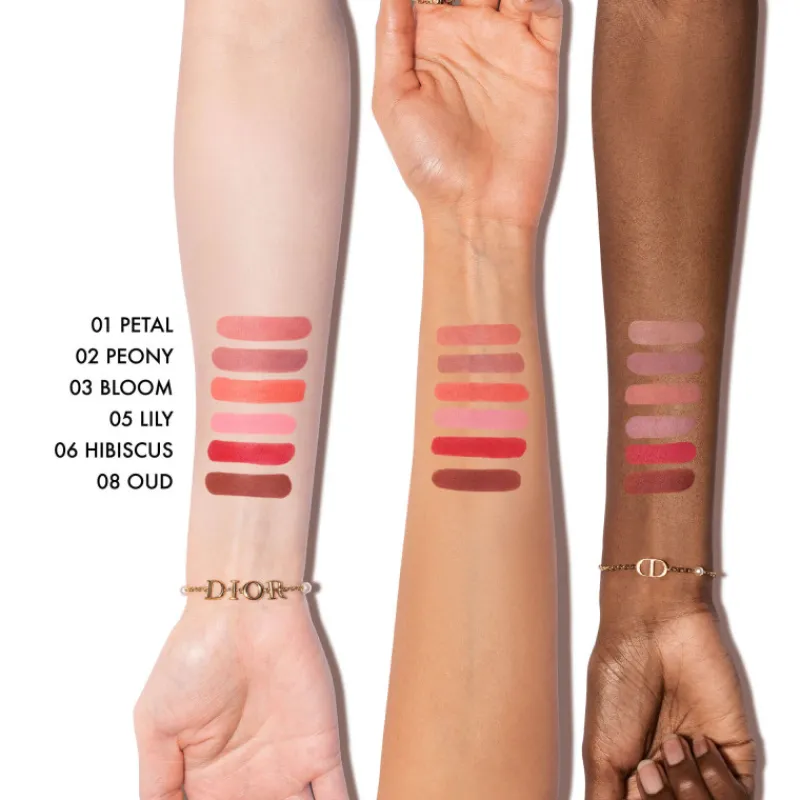 Dior Teint^Forever Blush Soft Filter