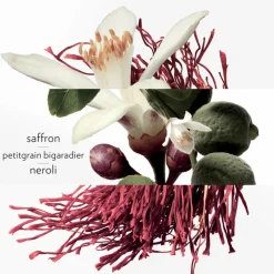 Femme HERMÈS Eau De Cologne^Eau de Néroli Doré