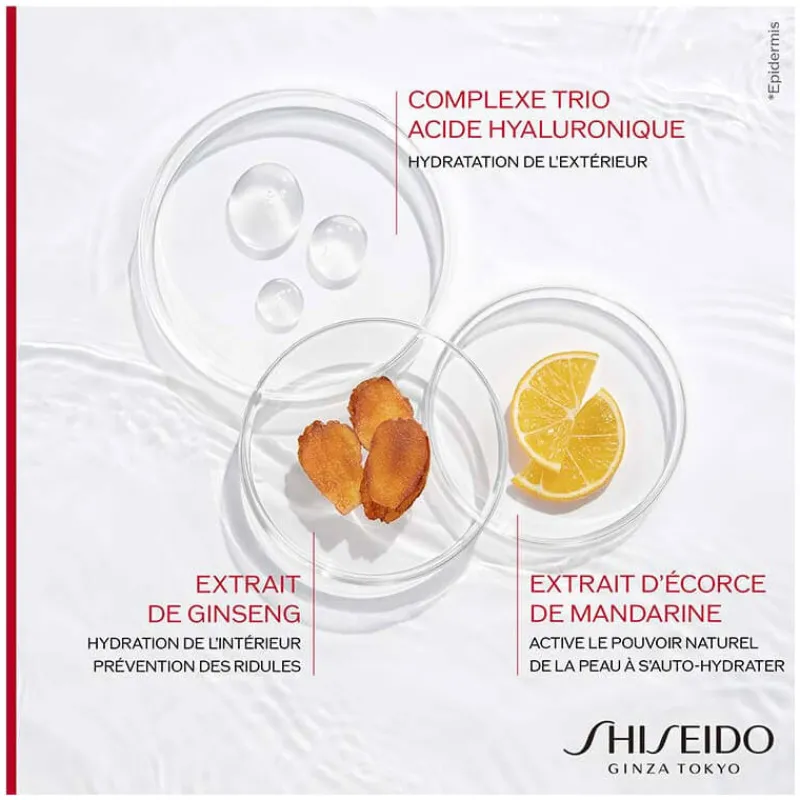 Shiseido Visage^Essential Energy