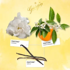 Femme Giorgio Beverly Hills Eau De Toilette^