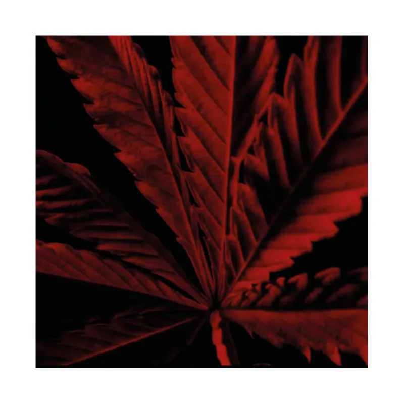 Homme Guerlain Eau De Toilette^Habit Rouge L'Instinct