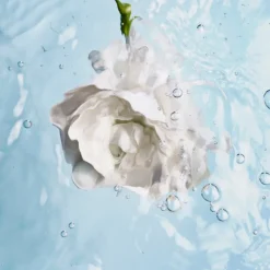 Chanel Visage^HYDRA BEAUTY | Avenue des Parfums