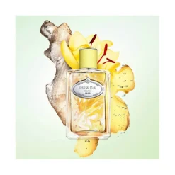 Femme Prada Eau De Parfum^Infusion de Gingembre