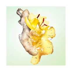 Femme Prada Eau De Parfum^Infusion de Gingembre