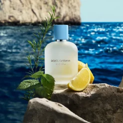 Homme Dolce&Gabbana Eau De Toilette^Light Blue Pour Homme