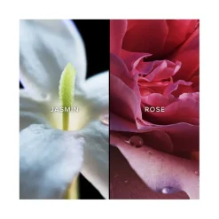 Femme Guerlain Eau De Parfum^Liu