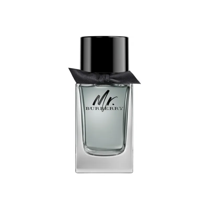 Homme Burberry Eau De Toilette^Mr