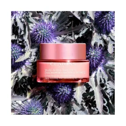 Clarins Visage^Multi-Active Jour SPF 15