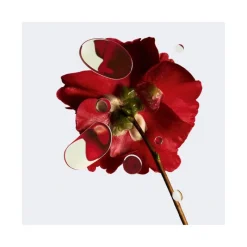 Chanel Visage^N°1 DE | Avenue des Parfums