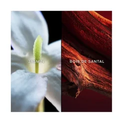 Femme Guerlain Eau De Toilette^Samsara