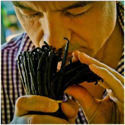 Femme Guerlain Eau De Parfum^Shalimar