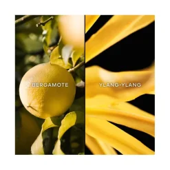 Femme Guerlain Eau De Toilette^Terracotta