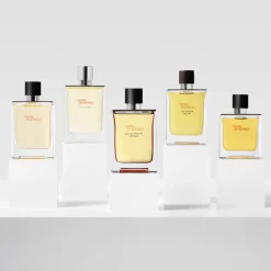 Homme HERMÈS Eau De Parfum^Terre d'Hermès