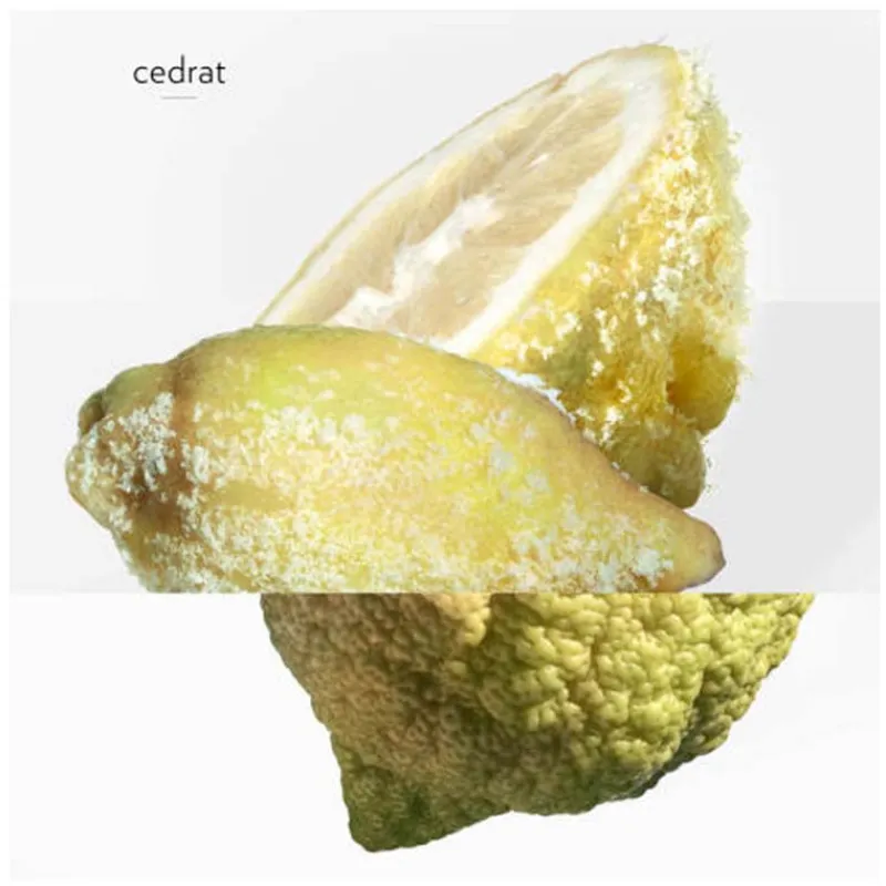 Homme HERMÈS Eau De Parfum^Terre d'Hermès Eau Givrée