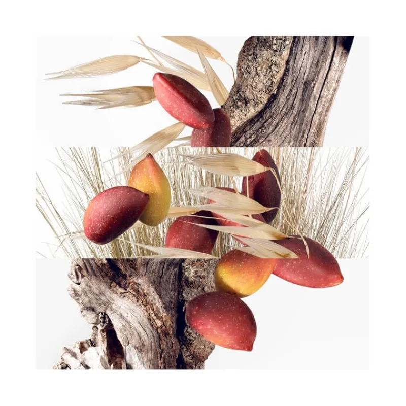 Femme HERMÈS Eau De Toilette|Eau De Toilette^Un Jardin à Cythère