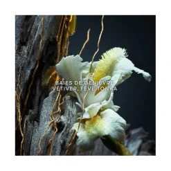 Homme Guerlain Eau De Parfum^Vetiver Le Parfum