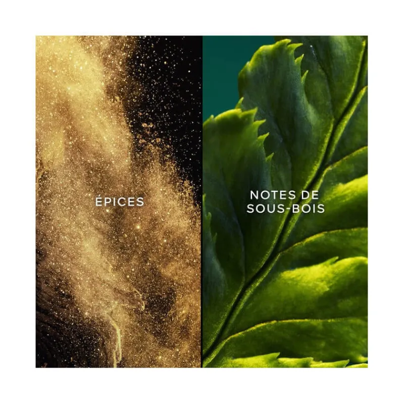 Femme Guerlain Eau De Toilette^Vol de Nuit