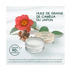 Shiseido Corps|Visage^Waso