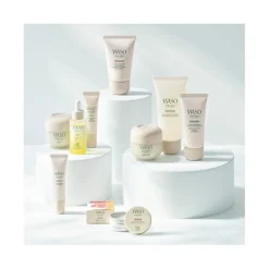 Shiseido Corps|Visage^Waso