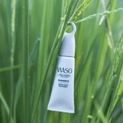 Shiseido Teint^Waso Koshirice