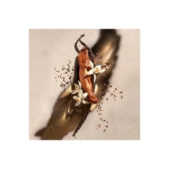 Femme Zadig & Voltaire Eau De Parfum^Zadig